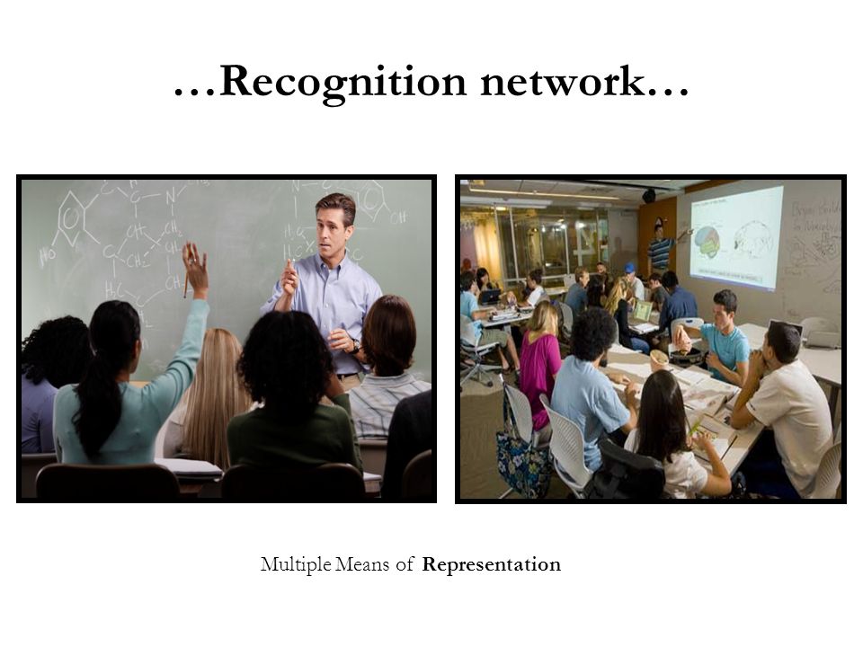 …Recognition network… Multiple Means of Representation