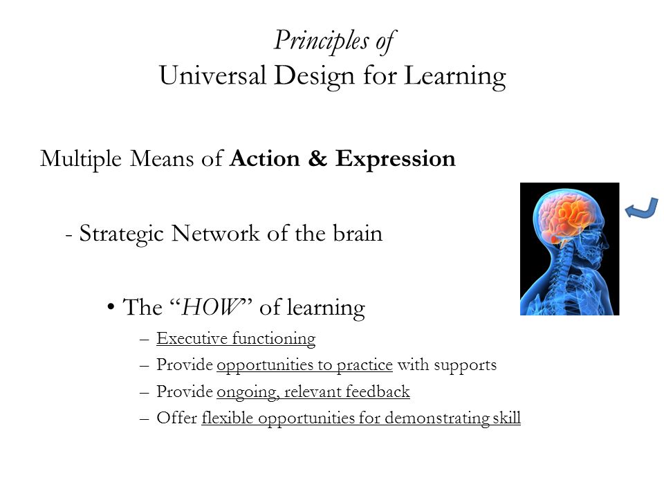Principles of Universal Design for Learning Multiple Means of Action & Expression - Strategic Network of the brain The HOW of learning –Executive functioning –Provide opportunities to practice with supports –Provide ongoing, relevant feedback –Offer flexible opportunities for demonstrating skill