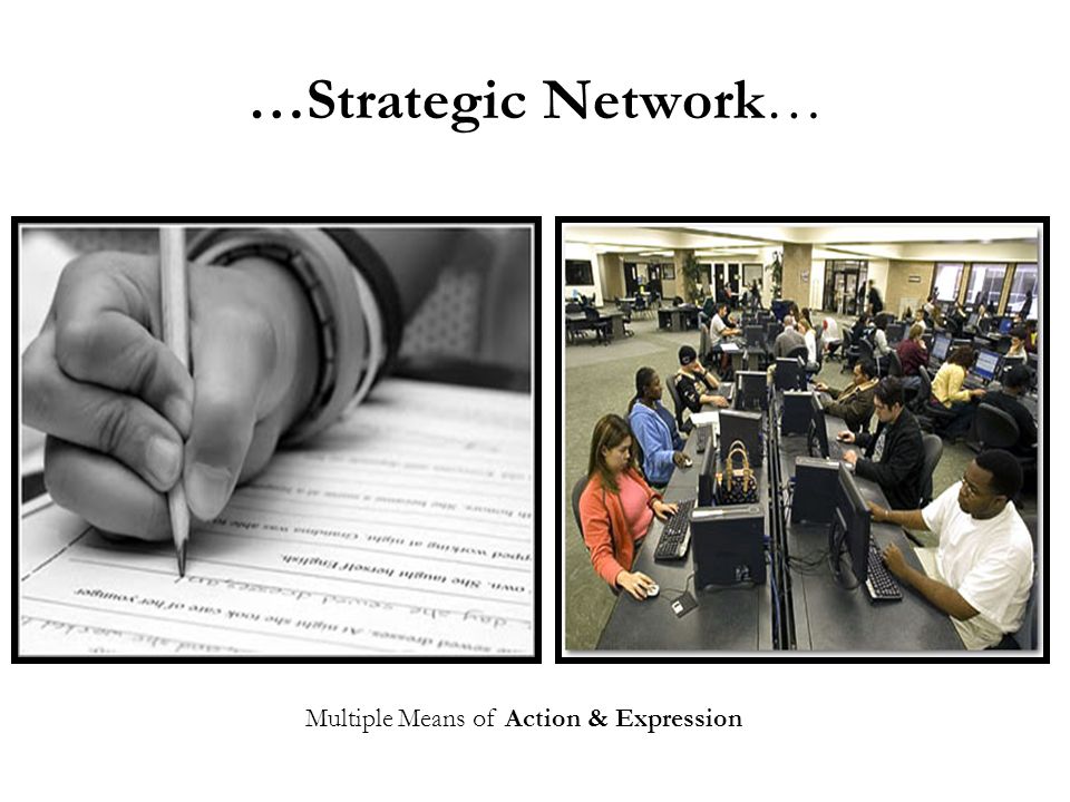 …Strategic Network… Multiple Means of Action & Expression
