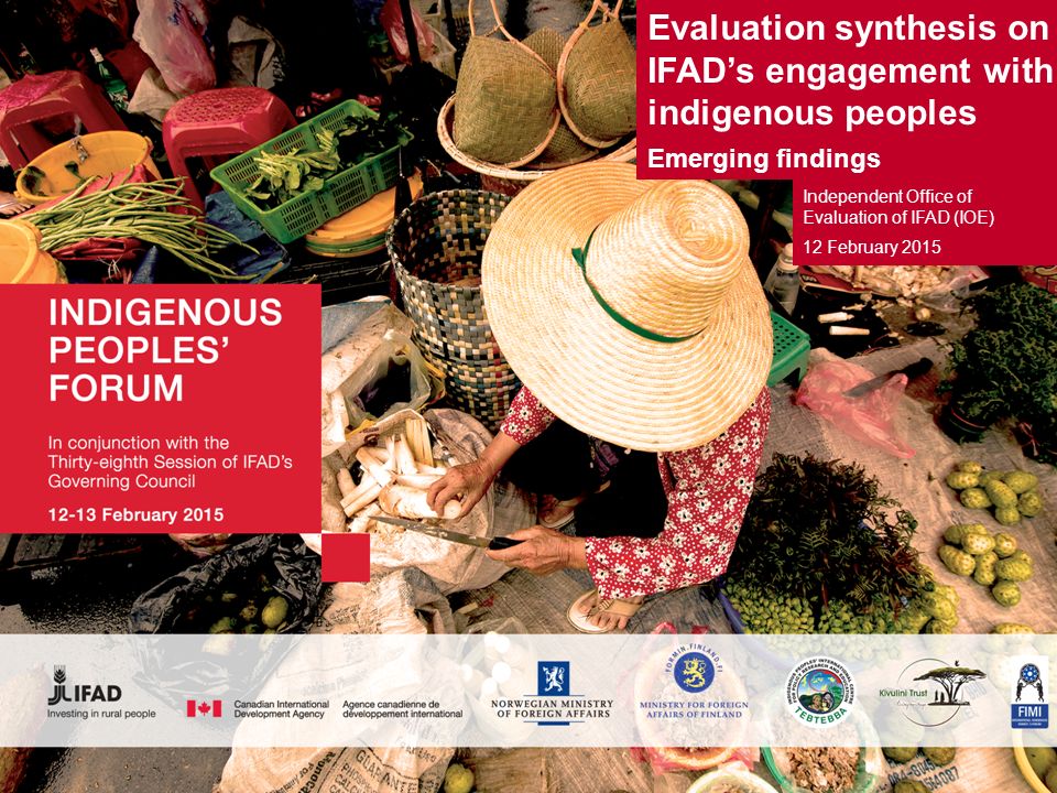 Evaluation synthesis on IFAD’s engagement with indigenous peoples Emerging findings Independent Office of Evaluation of IFAD (IOE) 12 February 2015