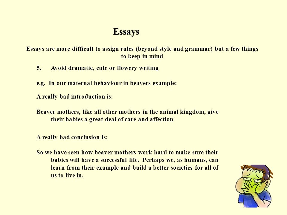 Essential Rules for Writing Your College Essay