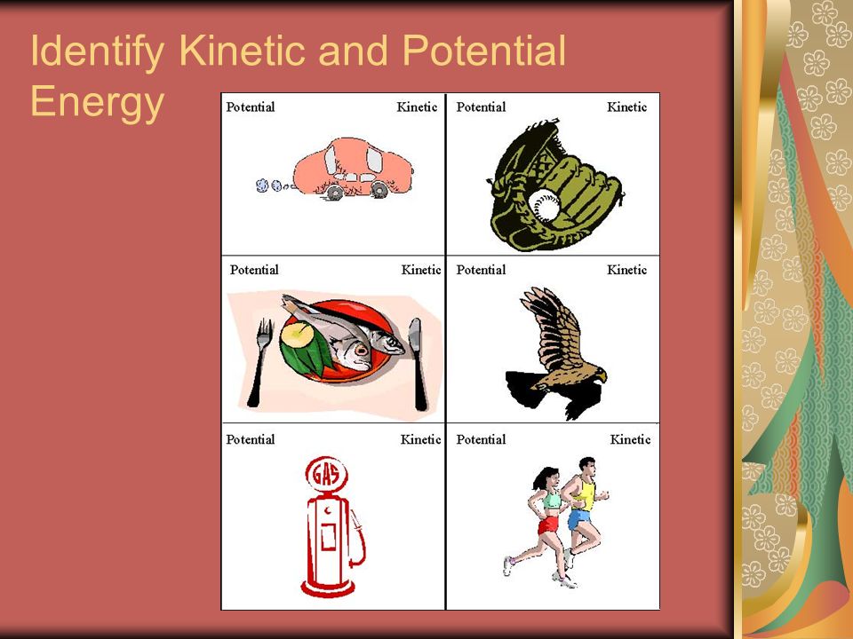 Identify Kinetic and Potential Energy