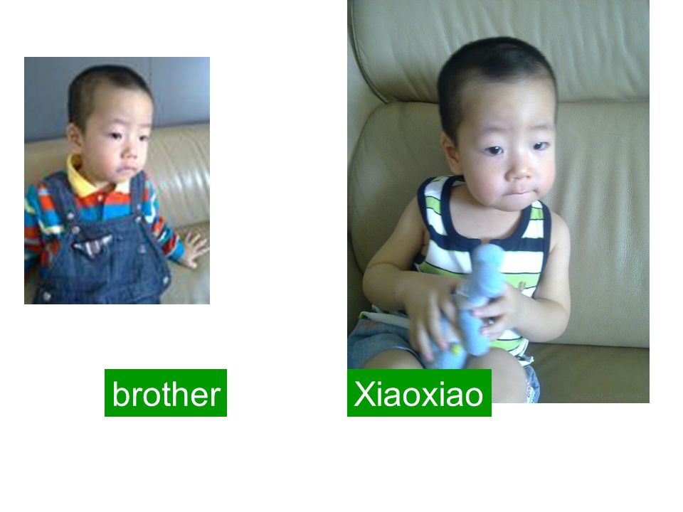 Xiaoxiaobrother