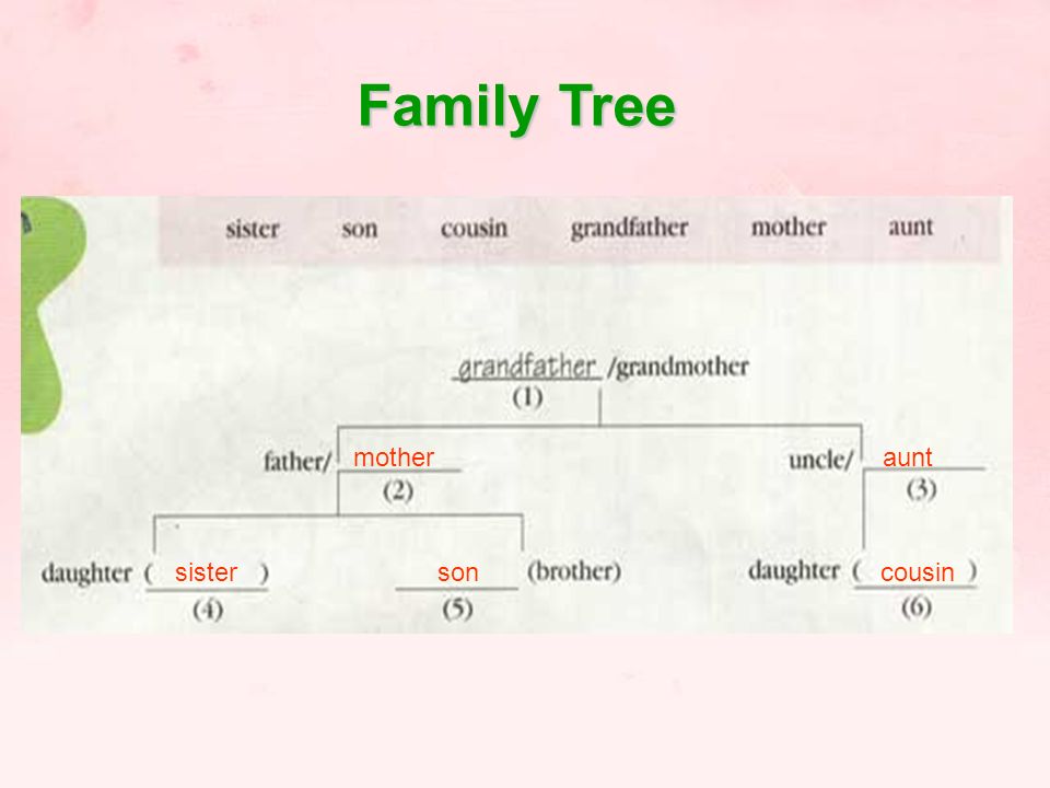 Family Tree motheraunt sistersoncousin