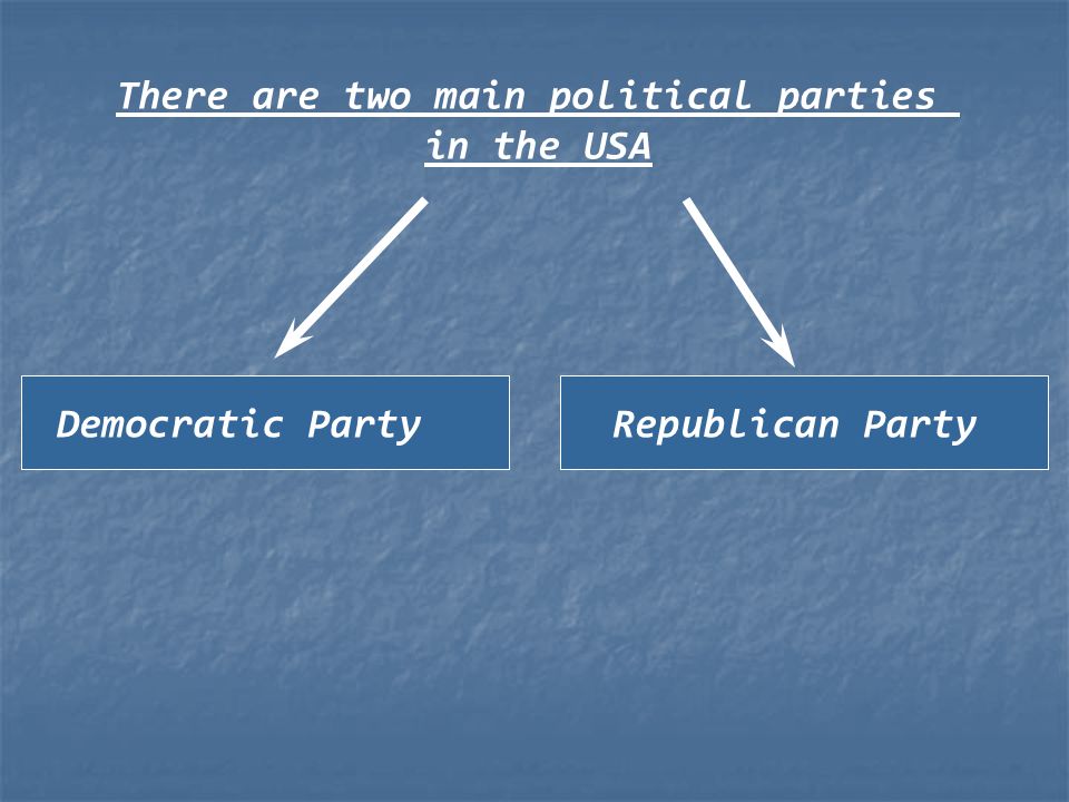 There are two main political parties in the USA Democratic PartyRepublican Party