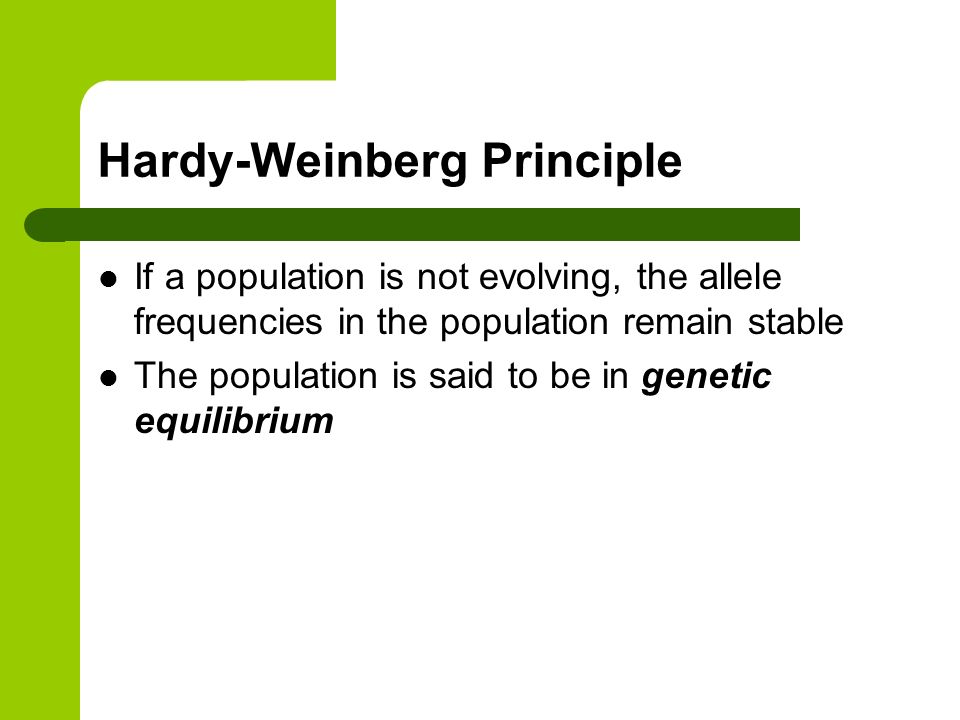 Hardy-Weinberg Principle If a population is not evolving, the allele frequencies in the population remain stable The population is said to be in genetic equilibrium