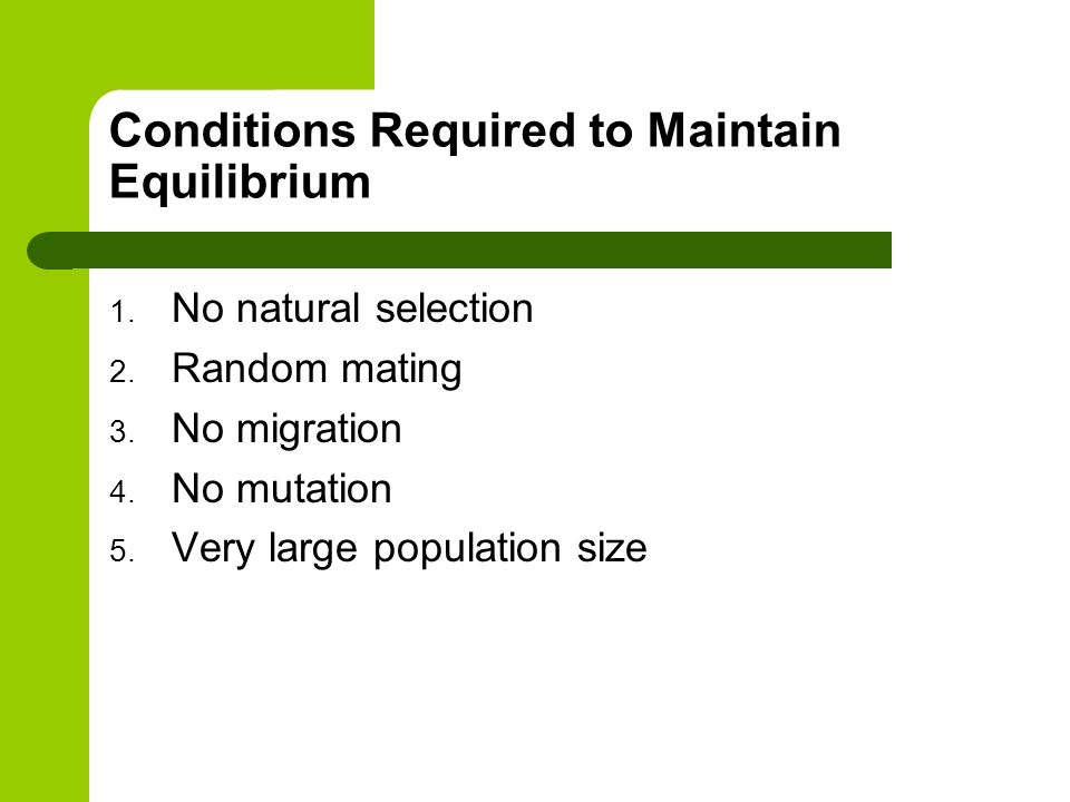 Conditions Required to Maintain Equilibrium 1. No natural selection 2.