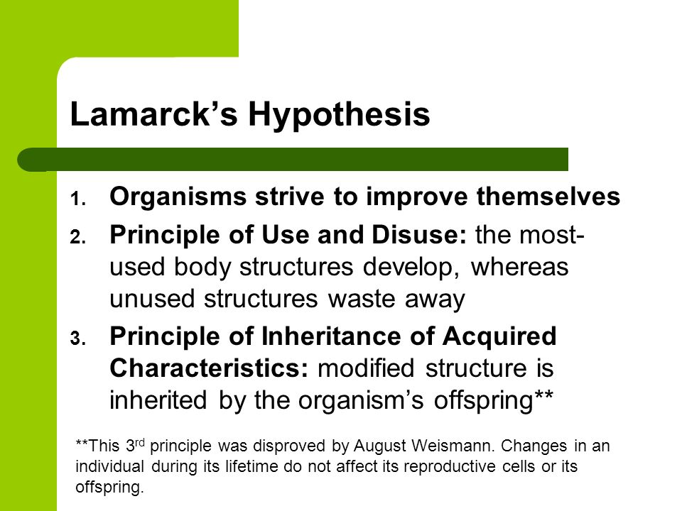 Lamarck’s Hypothesis 1. Organisms strive to improve themselves 2.