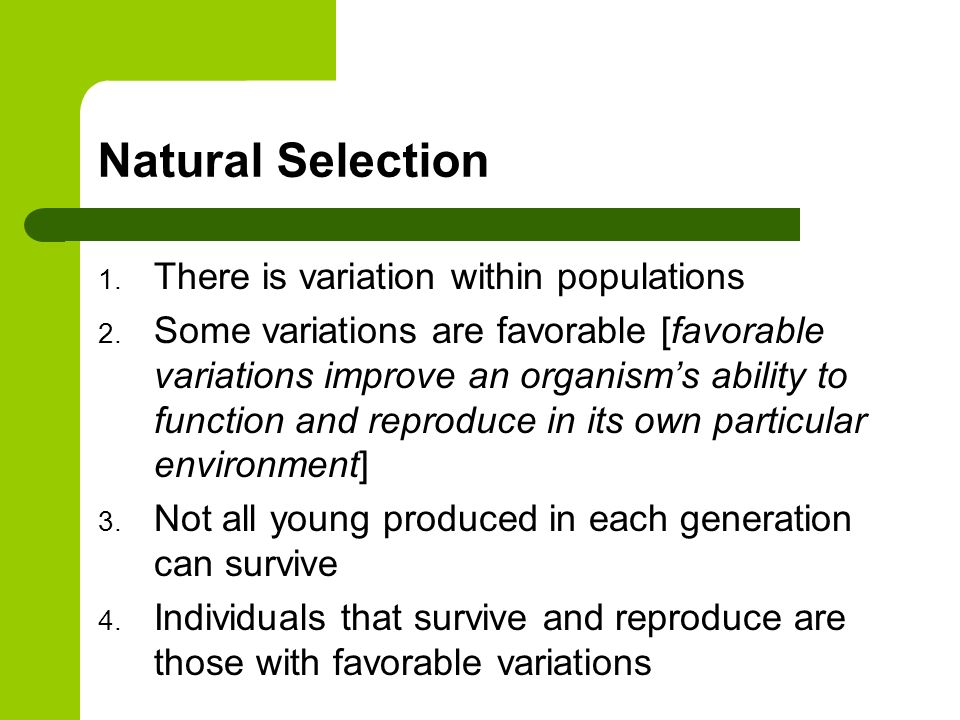 Natural Selection 1. There is variation within populations 2.