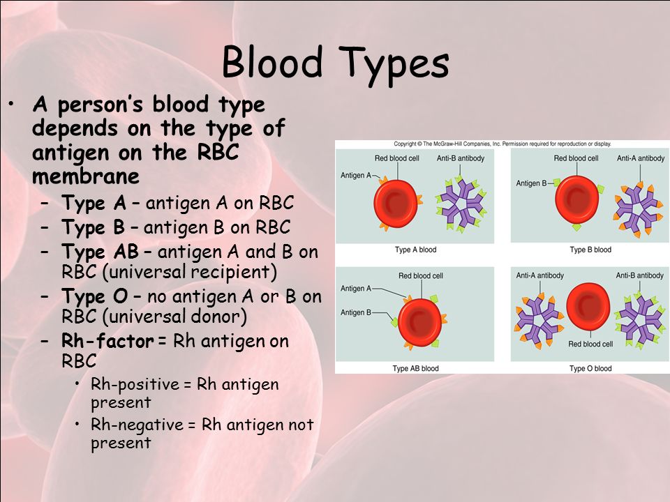 Blood Types A person’s blood type depends on the type of antigen on the RBC membrane –Type A – antigen A on RBC –Type B – antigen B on RBC –Type AB – antigen A and B on RBC (universal recipient) –Type O – no antigen A or B on RBC (universal donor) –Rh-factor = Rh antigen on RBC Rh-positive = Rh antigen present Rh-negative = Rh antigen not present