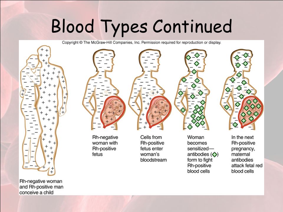 Blood Types Continued