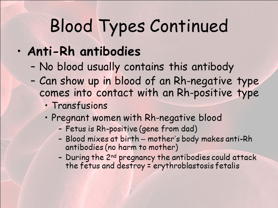 Anti-Rh antibodies –No blood usually contains this antibody –Can show up in blood of an Rh-negative type comes into contact with an Rh-positive type Transfusions Pregnant women with Rh-negative blood –Fetus is Rh-positive (gene from dad) –Blood mixes at birth – mother ’ s body makes anti-Rh antibodies (no harm to mother) –During the 2 nd pregnancy the antibodies could attack the fetus and destroy = erythroblastosis fetalis