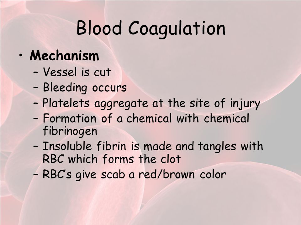 Blood Coagulation Mechanism –Vessel is cut –Bleeding occurs –Platelets aggregate at the site of injury –Formation of a chemical with chemical fibrinogen –Insoluble fibrin is made and tangles with RBC which forms the clot –RBC’s give scab a red/brown color