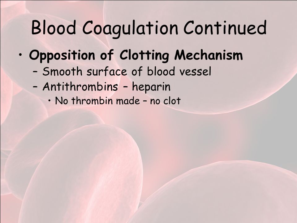 Blood Coagulation Continued Opposition of Clotting Mechanism –Smooth surface of blood vessel –Antithrombins – heparin No thrombin made – no clot