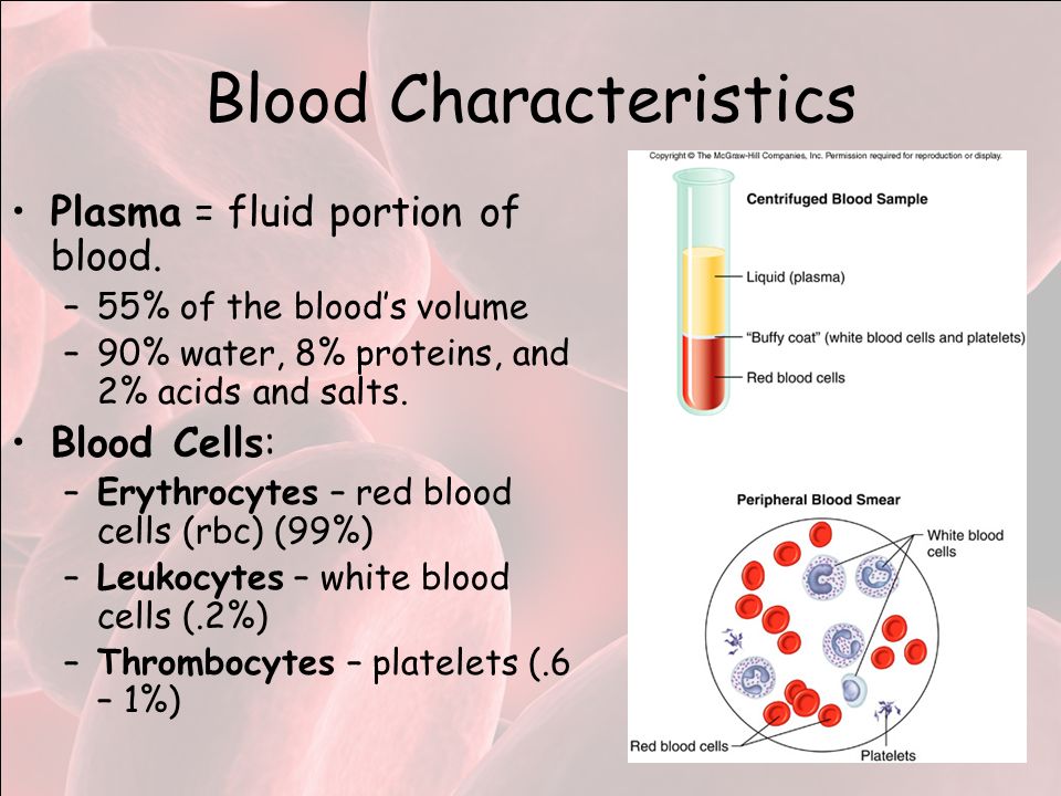 Blood Characteristics Plasma = fluid portion of blood.
