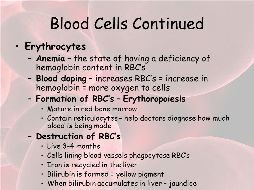 Blood Cells Continued Erythrocytes –Anemia – the state of having a deficiency of hemoglobin content in RBC’s –Blood doping – increases RBC’s = increase in hemoglobin = more oxygen to cells –Formation of RBC’s – Erythoropoiesis Mature in red bone marrow Contain reticulocytes – help doctors diagnose how much blood is being made –Destruction of RBC’s Live 3-4 months Cells lining blood vessels phagocytose RBC’s Iron is recycled in the liver Bilirubin is formed = yellow pigment When bilirubin accumulates in liver - jaundice