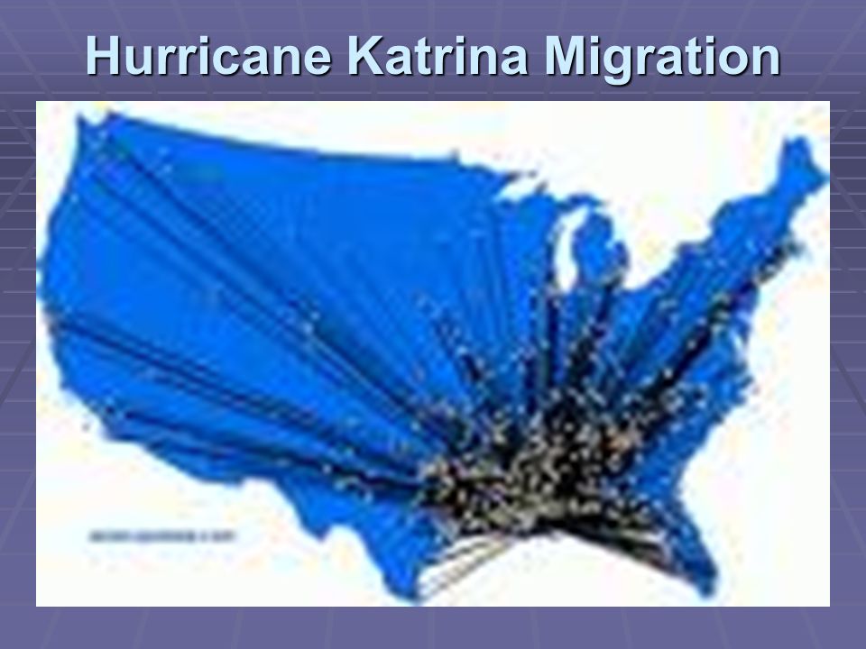 Hurricane Katrina Migration