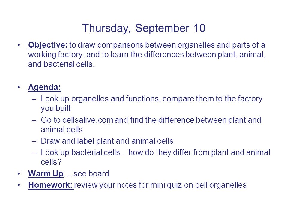 Thursday, September 10 Objective: to draw comparisons between organelles and parts of a working factory; and to learn the differences between plant, animal, and bacterial cells.