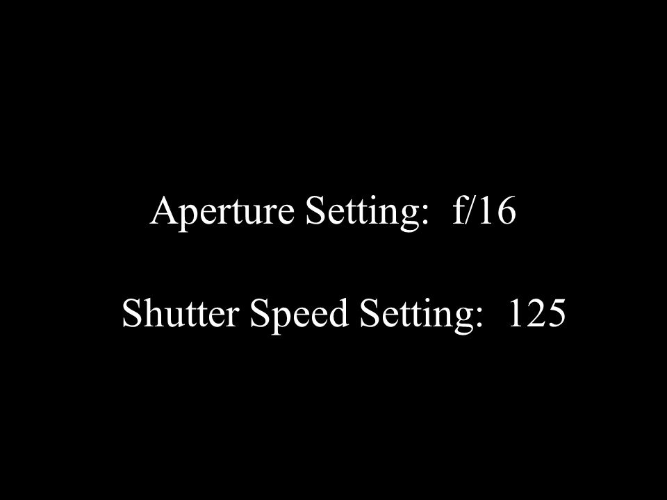 Aperture Setting: f/16 Shutter Speed Setting: 125