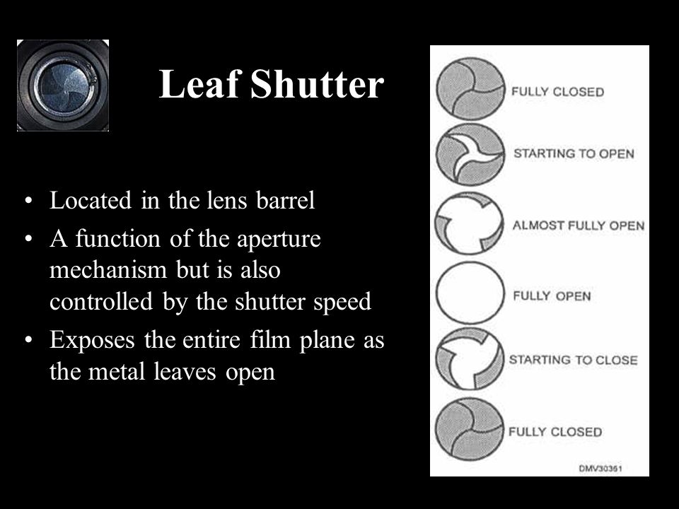Leaf Shutter Located in the lens barrel A function of the aperture mechanism but is also controlled by the shutter speed Exposes the entire film plane as the metal leaves open
