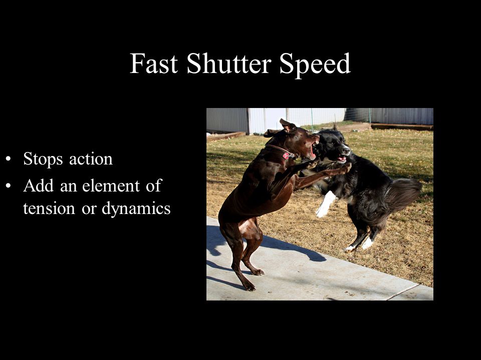 Fast Shutter Speed Stops action Add an element of tension or dynamics