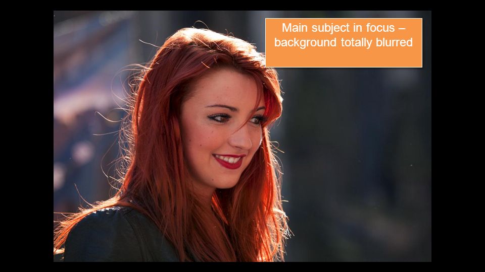 Main subject in focus – background totally blurred