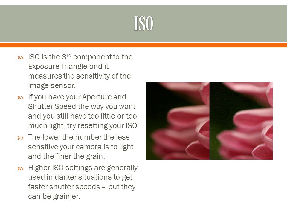  ISO is the 3 rd component to the Exposure Triangle and it measures the sensitivity of the image sensor.