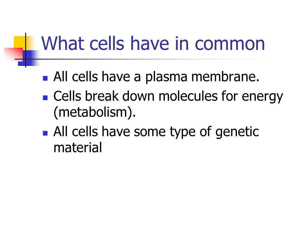What cells have in common All cells have a plasma membrane.