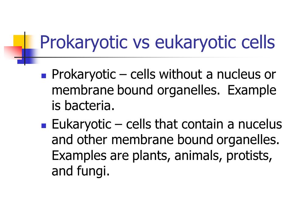 Prokaryotic vs eukaryotic cells Prokaryotic – cells without a nucleus or membrane bound organelles.