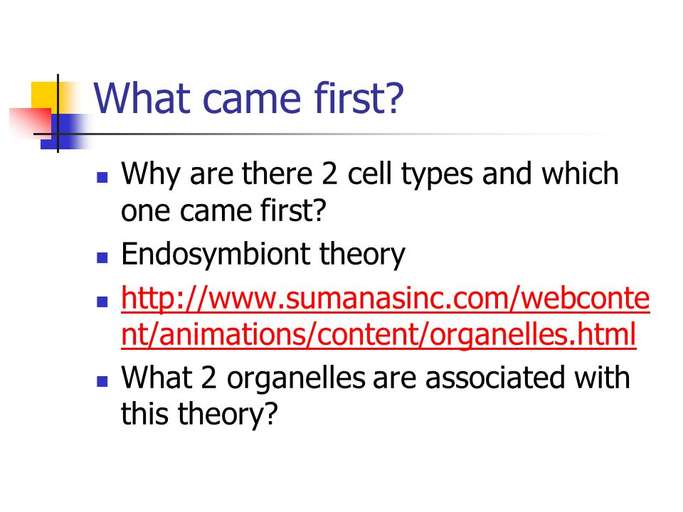 What came first. Why are there 2 cell types and which one came first.