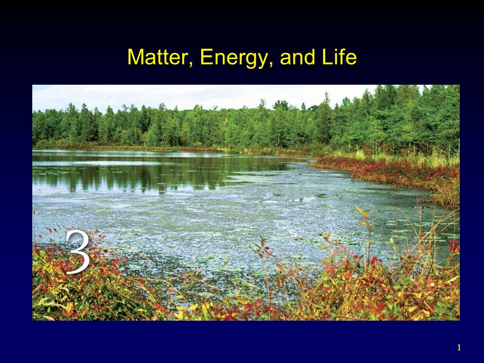 1 Matter, Energy, and Life