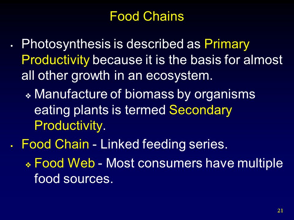 21 Food Chains Photosynthesis is described as Primary Productivity because it is the basis for almost all other growth in an ecosystem.
