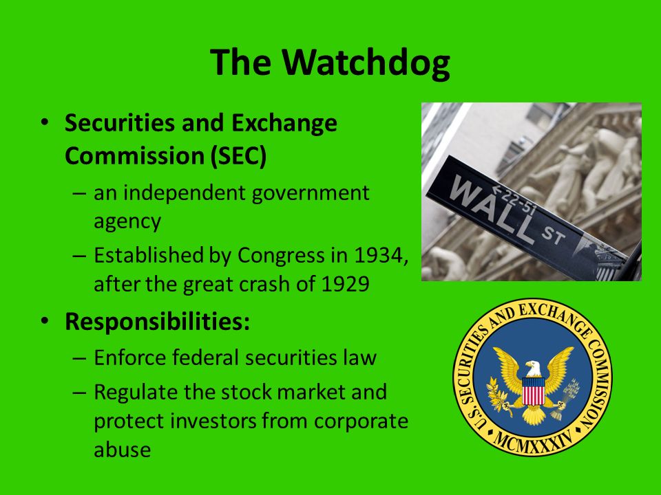 The Watchdog Securities and Exchange Commission (SEC) – an independent government agency – Established by Congress in 1934, after the great crash of 1929 Responsibilities: – Enforce federal securities law – Regulate the stock market and protect investors from corporate abuse
