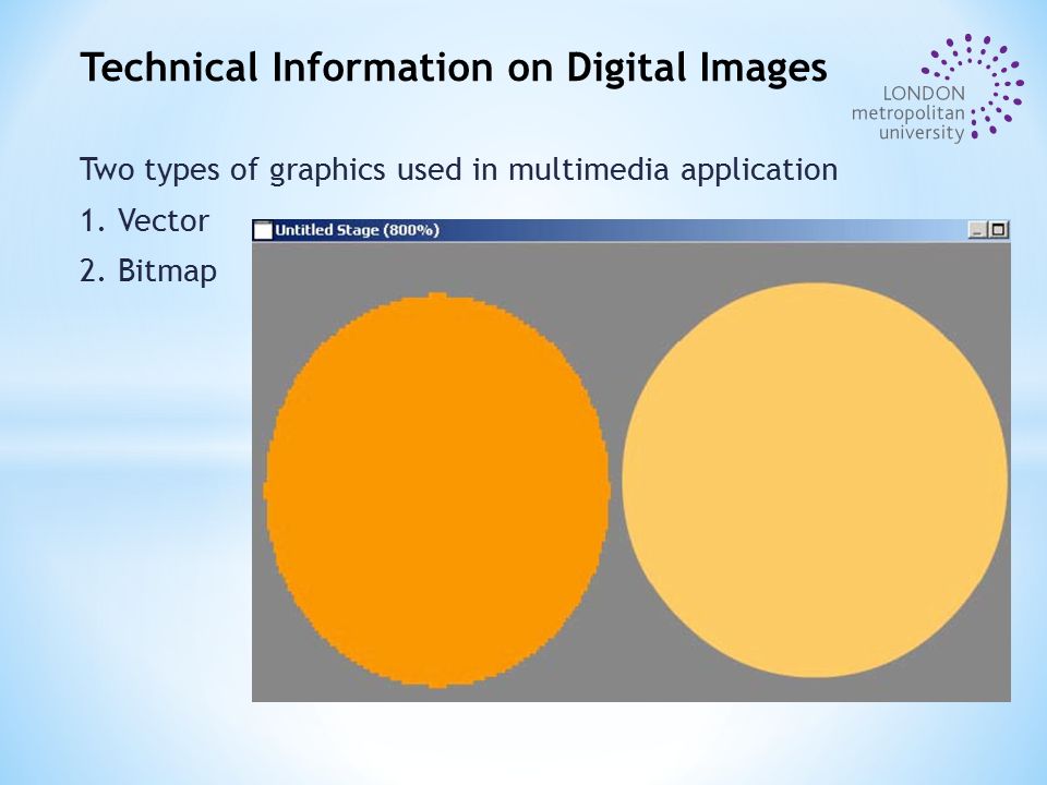 Two types of graphics used in multimedia application 1.