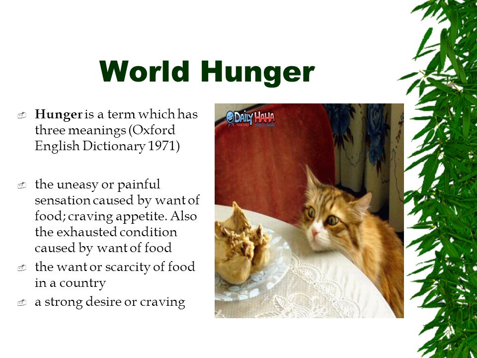 World Hunger  Hunger is a term which has three meanings (Oxford English Dictionary 1971)  the uneasy or painful sensation caused by want of food; craving appetite.