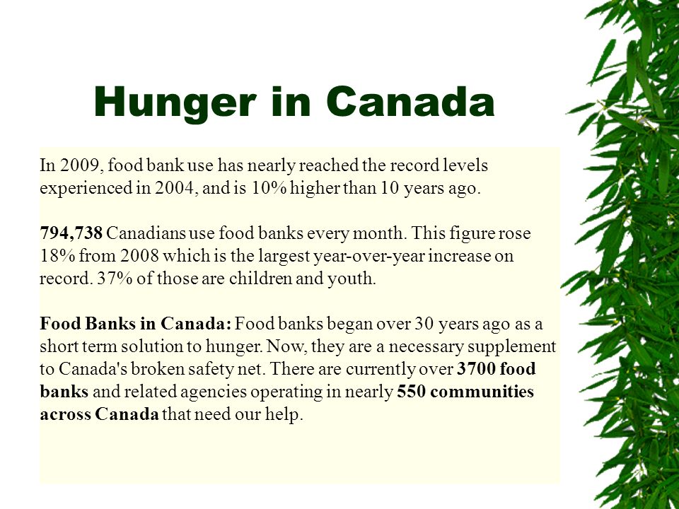 Hunger in Canada In 2009, food bank use has nearly reached the record levels experienced in 2004, and is 10% higher than 10 years ago.