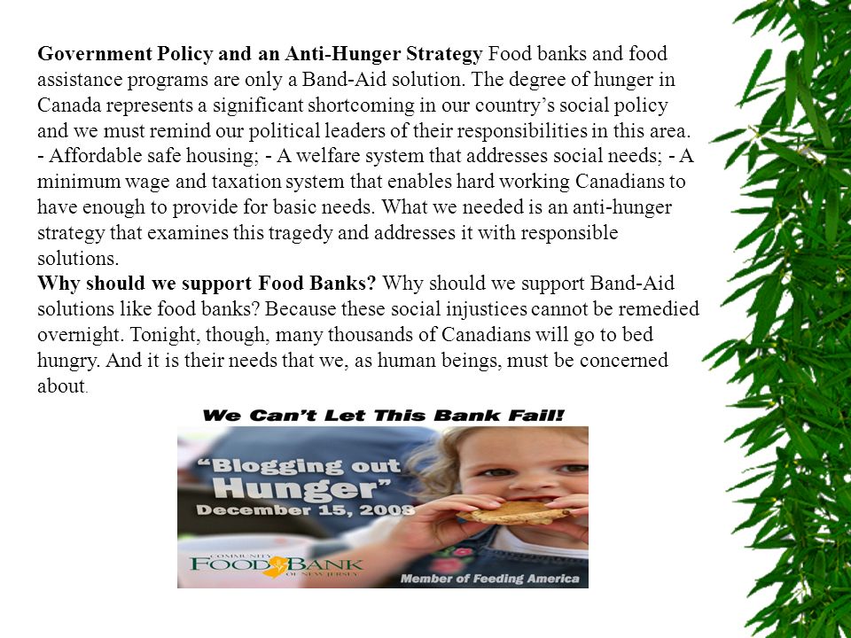 Government Policy and an Anti-Hunger Strategy Food banks and food assistance programs are only a Band-Aid solution.