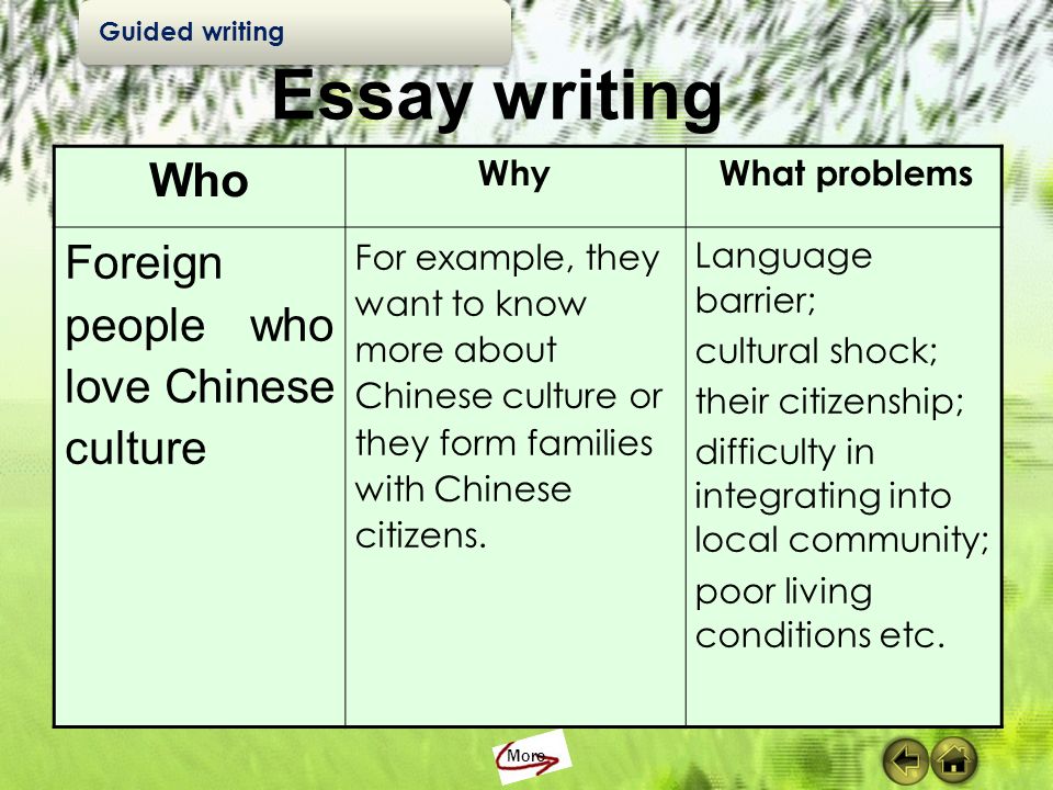 Essay On Culture Shock
