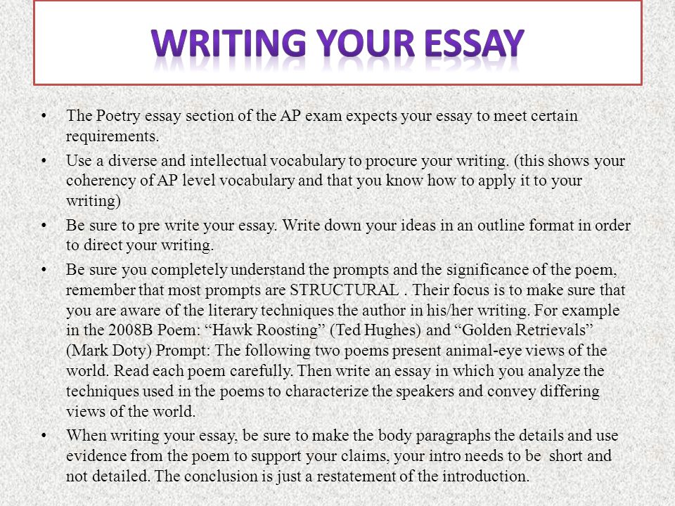 poerty essay poerty essay