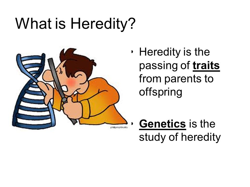 an introduction to the analysis of heredity traits Measure them for various traits do a statistical analysis an introduction to genetic analysis 7th ed genetics: analysis of genes and genomes 6th ed. an introduction to the analysis of heredity traits Measure them for various traits do a statistical analysis an introduction to genetic analysis 7th ed genetics: analysis of genes and genomes 6th ed.