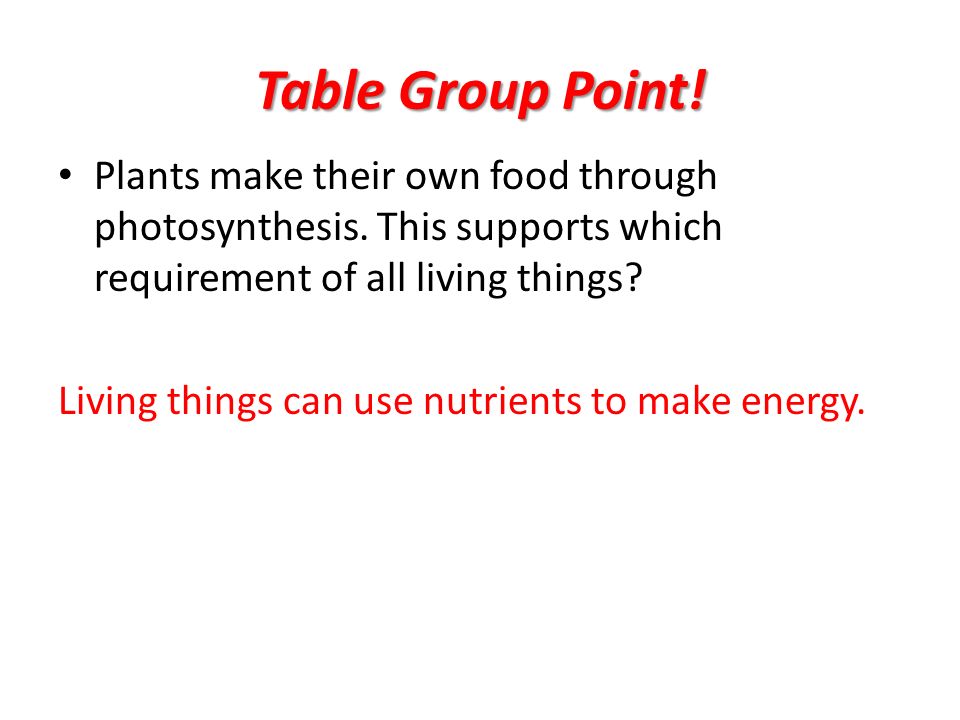 Table Group Point. Plants make their own food through photosynthesis.