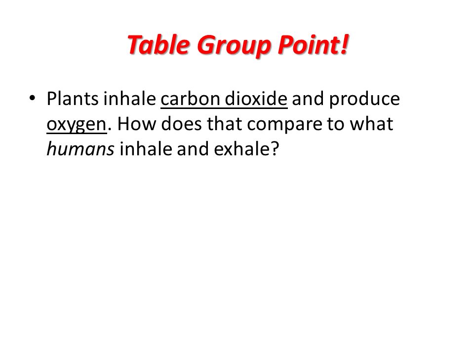 Table Group Point. Plants inhale carbon dioxide and produce oxygen.