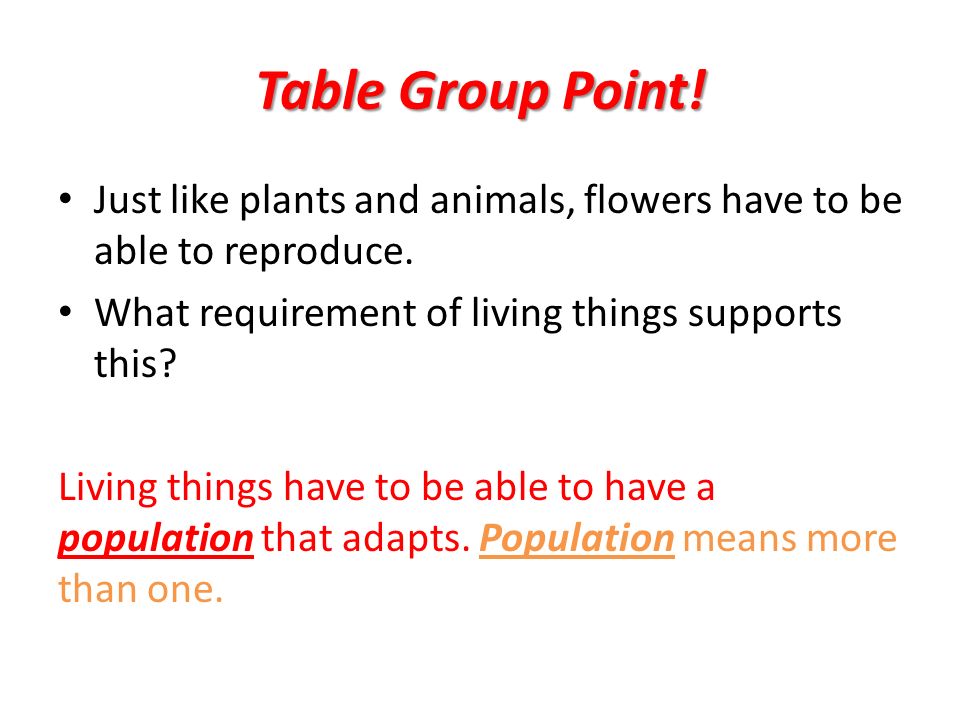 Table Group Point. Just like plants and animals, flowers have to be able to reproduce.