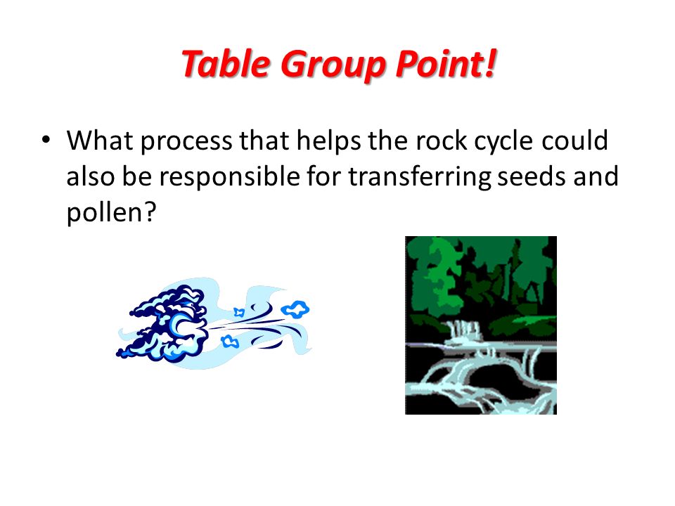 Table Group Point.