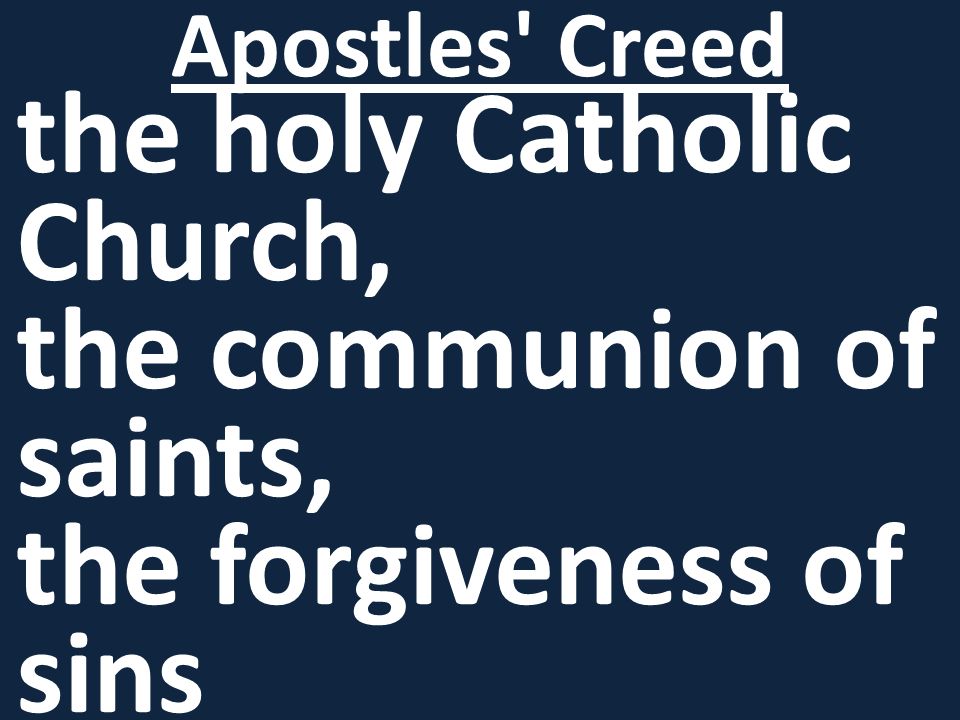 the holy Catholic Church, the communion of saints, the forgiveness of sins Apostles Creed