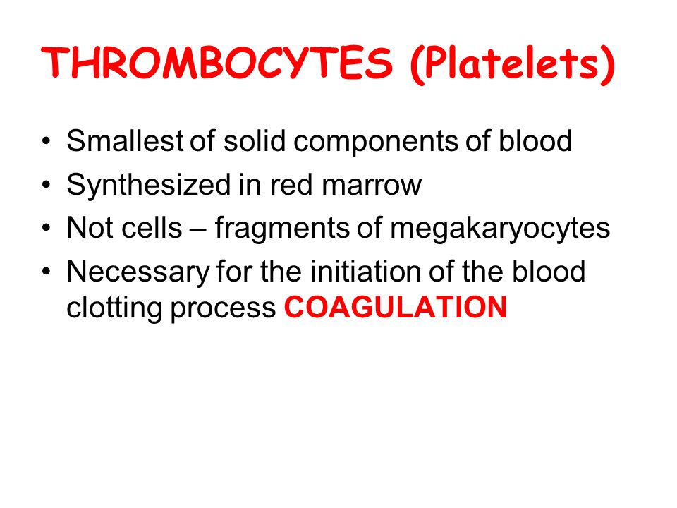 THROMBOCYTES (Platelets) Smallest of solid components of blood Synthesized in red marrow Not cells – fragments of megakaryocytes Necessary for the initiation of the blood clotting process COAGULATION