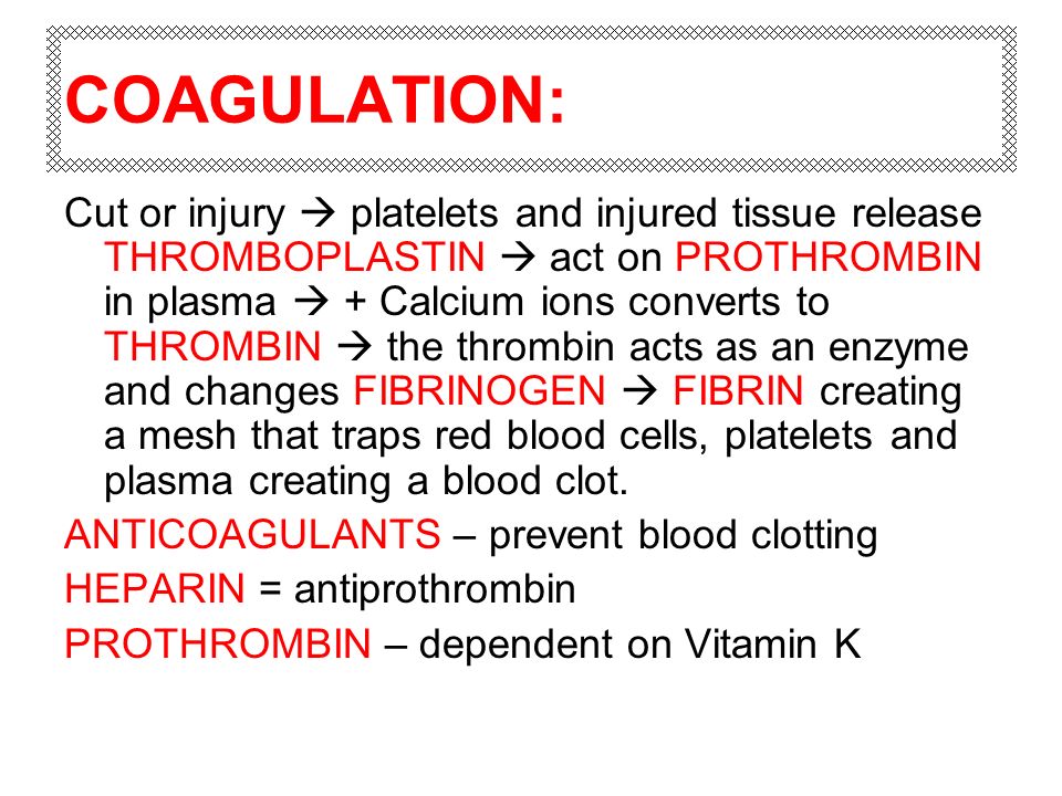 COAGULATION: Cut or injury  platelets and injured tissue release THROMBOPLASTIN  act on PROTHROMBIN in plasma  + Calcium ions converts to THROMBIN  the thrombin acts as an enzyme and changes FIBRINOGEN  FIBRIN creating a mesh that traps red blood cells, platelets and plasma creating a blood clot.