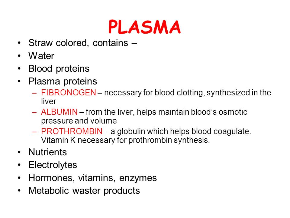 PLASMA Straw colored, contains – Water Blood proteins Plasma proteins –FIBRONOGEN – necessary for blood clotting, synthesized in the liver –ALBUMIN – from the liver, helps maintain blood’s osmotic pressure and volume –PROTHROMBIN – a globulin which helps blood coagulate.