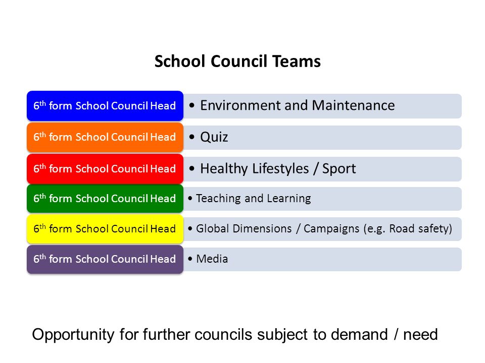 School Council Teams Teaching and Learning 6 th form School Council Head Global Dimensions / Campaigns (e.g.