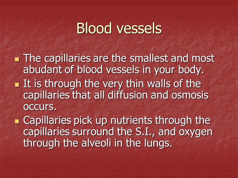 Blood vessels The capillaries are the smallest and most abudant of blood vessels in your body.